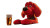 Clifford With Beer Vinyl Car Decal Sticker – Waterproof & UV-Resistant 8"