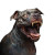 Terrifying Ghoul Pitbull Vinyl Car Decal Sticker – Waterproof & UV-Resistant 8"