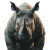 Humanoid Rhino Portrait Vinyl Car Decal Sticker – Waterproof & UV-Resistant 8"