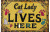 Vintage Cat Sign Vinyl Car Decal Sticker – Waterproof & UV-Resistant 8"