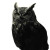 Owl V9 Vinyl Car Decal Sticker – Waterproof & UV-Resistant 8"