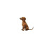 Dachshund And Alien Vinyl Car Decal Sticker – Waterproof & UV-Resistant 8"