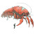 Cowboy Lobster Moebius Vinyl Car Decal Sticker – Waterproof & UV-Resistant 8"