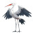 Cute Anime Stork Vinyl Car Decal Sticker – Waterproof & UV-Resistant 8"