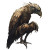 Anthropomorphic Bird V3 Vinyl Car Decal Sticker – Waterproof & UV-Resistant 8"