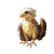 Little Griffon Vinyl Car Decal Sticker – Waterproof & UV-Resistant 8"