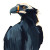 Andean Condor Sketch V2 Vinyl Car Decal Sticker – Waterproof & UV-Resistant 8"