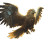Fantasy Gryphon Vinyl Car Decal Sticker – Waterproof & UV-Resistant 8"
