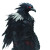 Dark Raven Creature Vinyl Car Decal Sticker – Waterproof & UV-Resistant 8"