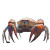 Giant Crab Vinyl Car Decal Sticker – Waterproof & UV-Resistant 8"
