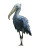 Shoebill Stork Vinyl Car Decal Sticker – Waterproof & UV-Resistant 8"