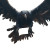 Tattered Crow Creature Vinyl Car Decal Sticker – Waterproof & UV-Resistant 8"