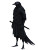 Kenku Rogue V2 Vinyl Car Decal Sticker – Waterproof & UV-Resistant 8"