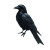 Thief'S Raven Vinyl Car Decal Sticker – Waterproof & UV-Resistant 8"