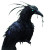 Mantis Raven Hybrid Vinyl Car Decal Sticker – Waterproof & UV-Resistant 8"