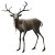 Possessed Deer Vinyl Car Decal Sticker – Waterproof & UV-Resistant 8"