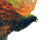 Vibrant Summoning Bird Vinyl Car Decal Sticker – Waterproof & UV-Resistant 8"