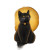 Cat Lovers Tarot Vinyl Car Decal Sticker – Waterproof & UV-Resistant 8"