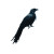 Raven Forsaken Vinyl Car Decal Sticker – Waterproof & UV-Resistant 