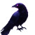 Fantasy Raven Vinyl Car Decal Sticker – Waterproof & UV-Resistant 8"