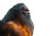 Celestial Polynesian Figure Vinyl Car Decal Sticker – Waterproof & UV-Resistant 8"
