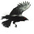 Fiendish Raven Vinyl Car Decal Sticker – Waterproof & UV-Resistant 8"