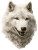 Dire Wolf Sticker Vinyl Car Decal Sticker – Waterproof & UV-Resistant 8"