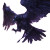 Raven Illustration Vinyl Car Decal Sticker – Waterproof & UV-Resistant 8"
