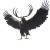 Roc Eagle Antlers Vinyl Car Decal Sticker – Waterproof & UV-Resistant 8"
