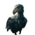 Realistic Dodo Photo Vinyl Car Decal Sticker – Waterproof & UV-Resistant 8"
