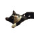Tuxedo Cat'S Wonder Vinyl Car Decal Sticker – Waterproof & UV-Resistant 8"