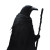 Mysterious Crow Traveler Vinyl Car Decal Sticker – Waterproof & UV-Resistant 8"