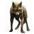 Coyote Head Vinyl Car Decal Sticker – Waterproof & UV-Resistant 8"