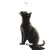 Cat On Moon V18 Vinyl Car Decal Sticker – Waterproof & UV-Resistant 8"