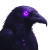 Dark Fantasy Raven Vinyl Car Decal Sticker – Waterproof & UV-Resistant 8"