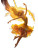 Sun Fairy Vinyl Car Decal Sticker – Waterproof & UV-Resistant 8"