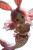 Cute Mermaid Girl Vinyl Car Decal Sticker – Waterproof & UV-Resistant 8"