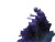 Skeletal Sorcerer King Vinyl Car Decal Sticker – Waterproof & UV-Resistant 8"