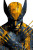 Wolverine Digital Art Vinyl Car Decal Sticker – Waterproof & UV-Resistant 8"