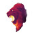 Fiery Lion Head Vinyl Car Decal Sticker – Waterproof & UV-Resistant 8"