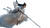 Flying Hanfu Warrior Vinyl Car Decal Sticker – Waterproof & UV-Resistant 8"