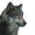 Realistic Wolf Vinyl Car Decal Sticker – Waterproof & UV-Resistant 8"