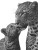 Kissing Leopards Portrait Vinyl Car Decal Sticker – Waterproof & UV-Resistant 8"