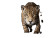 Pantanal Jaguar Vinyl Car Decal Sticker – Waterproof & UV-Resistant 8"