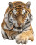 Smug Tiger Portrait Vinyl Car Decal Sticker – Waterproof & UV-Resistant 8"