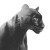 Panther Double Exposure V3 Vinyl Car Decal Sticker – Waterproof & UV-Resistant 8"