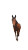 Hyper Realistic Horse Vinyl Car Decal Sticker – Waterproof & UV-Resistant 8"