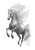Mystical Mist Horse Vinyl Car Decal Sticker – Waterproof & UV-Resistant 8"