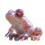 Sparkling Glass Frog Vinyl Car Decal Sticker – Waterproof & UV-Resistant 8"
