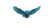 Mystical Owl Flight V2 Vinyl Car Decal Sticker – Waterproof & UV-Resistant 8"